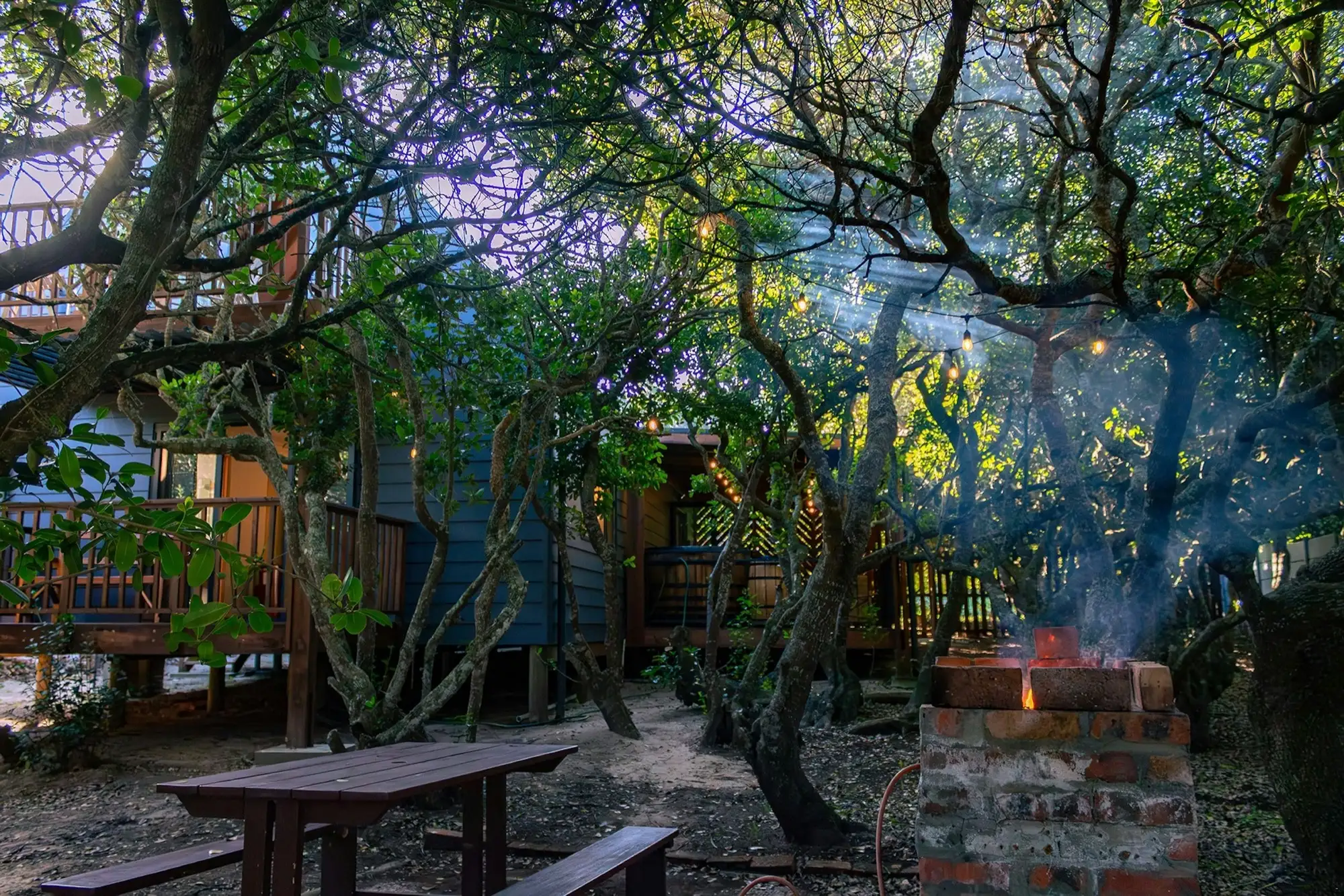 Firepit burning among the milkwood trees at dusk, string lights threaded through the branches