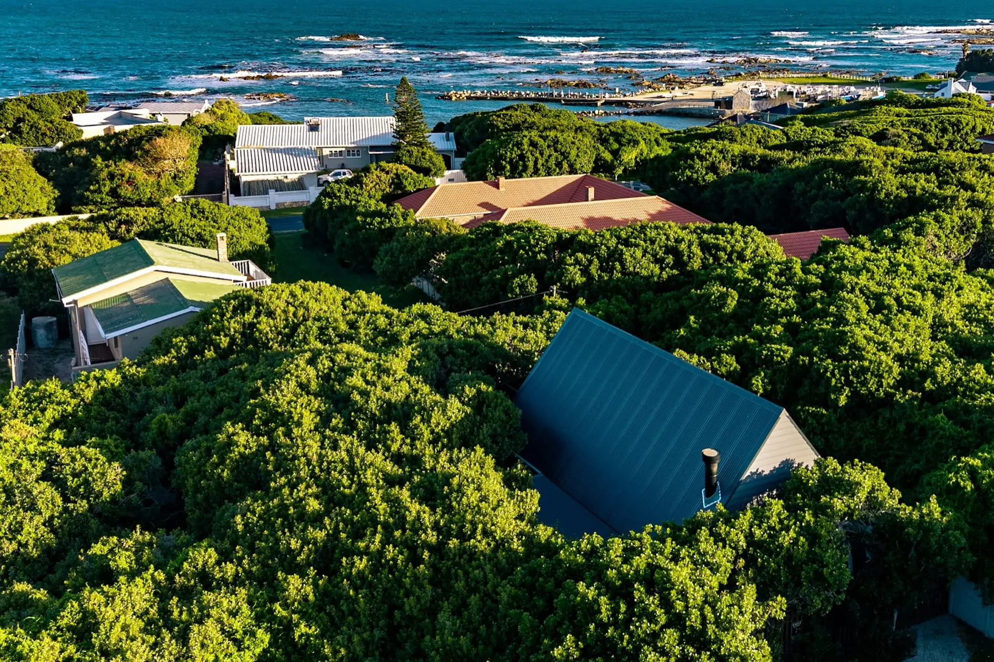 Aerial view of the cabin's roof in the forest canopy with the Atlantic beyond