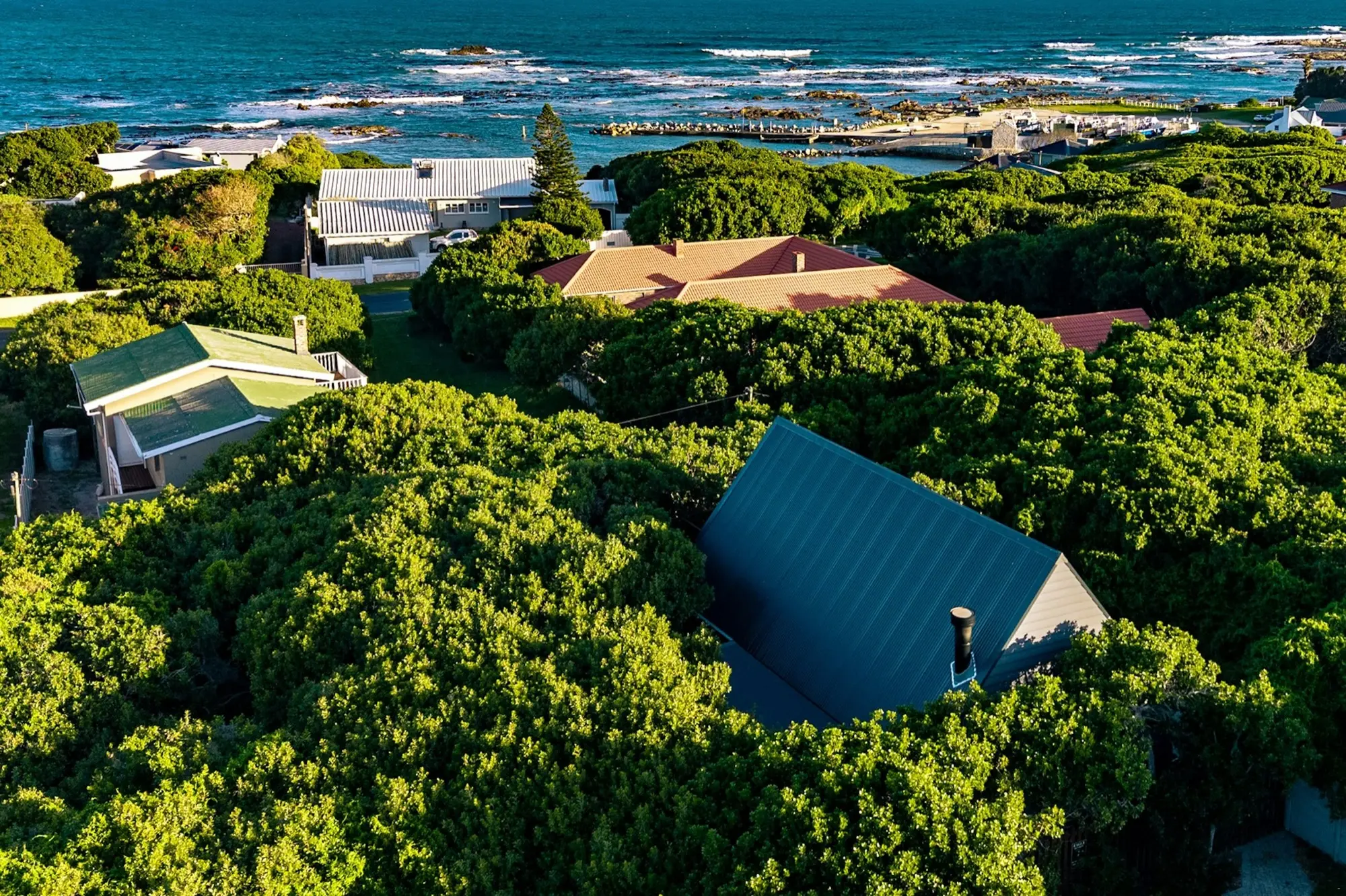 Aerial view of the cabin's roof in the forest canopy with the Atlantic beyond