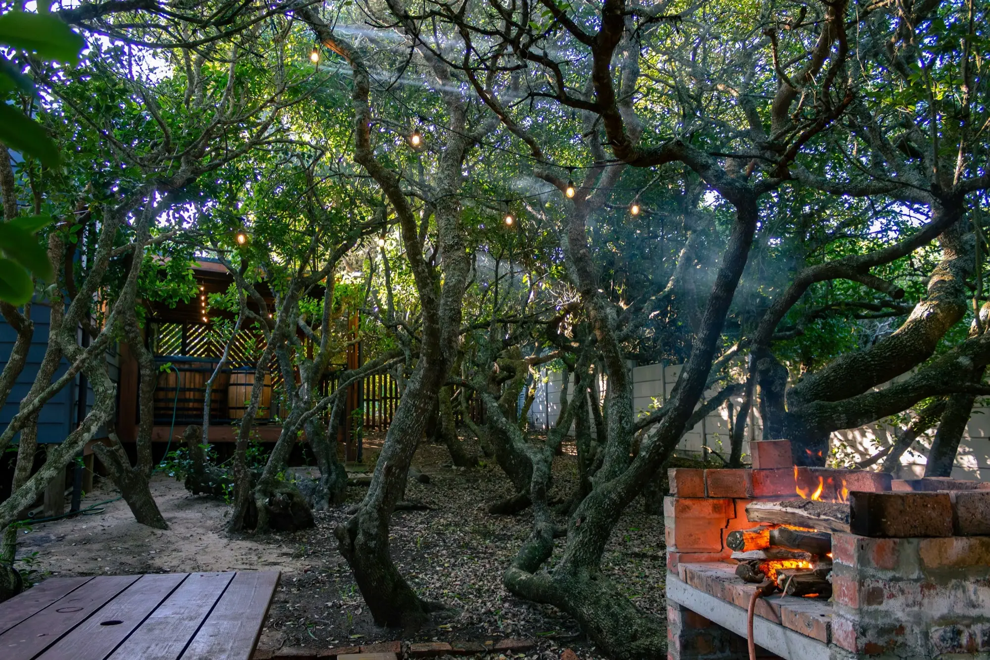 The firepit and braai area among the milkwoods in the evening