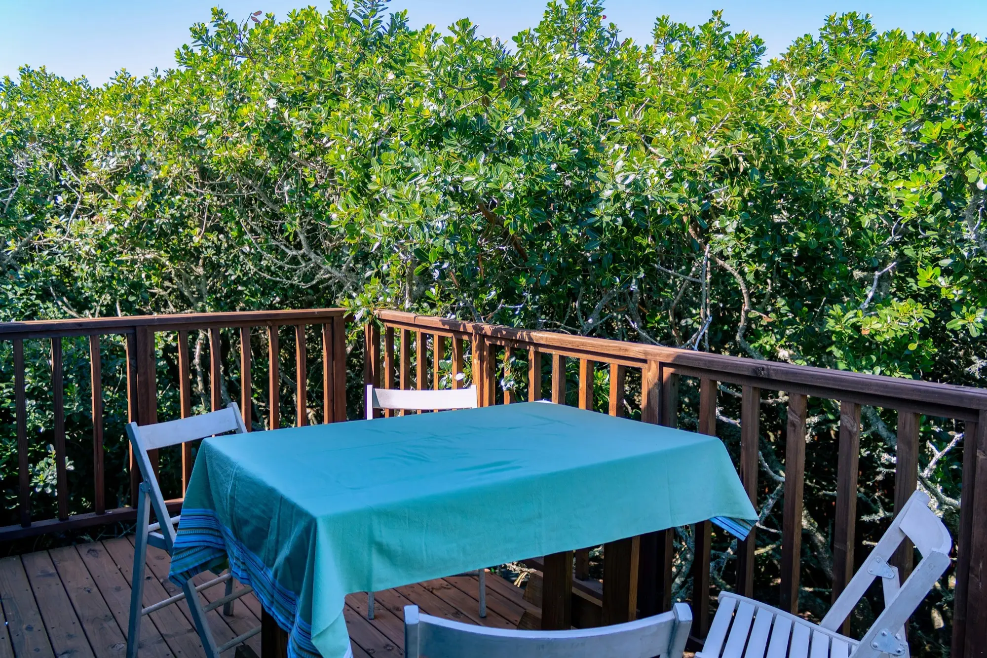Dining table set on the deck against a wall of milkwood foliage